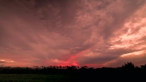 Peaceful Evening Breeze at Sunset Stock Footage 336492925