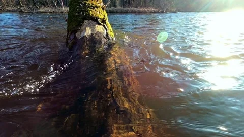 Peaceful Evening River Flowing at Sunset Ambient Nature Relaxation 4K Stock Footage 325004853