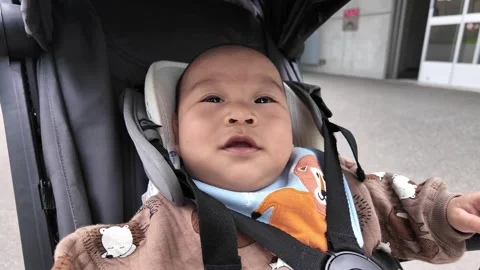 Peaceful Expression of a Baby in a Stroller Stock Footage 313835122