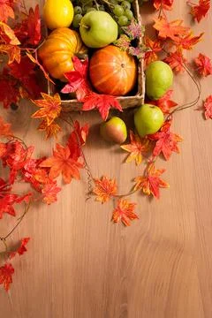 Peaceful Fall Fruit, Leaf, Acorn Still Life Arrangement on Wood Board Table Stock Photos