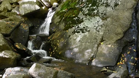 Peaceful Falls Stock Footage 101619770