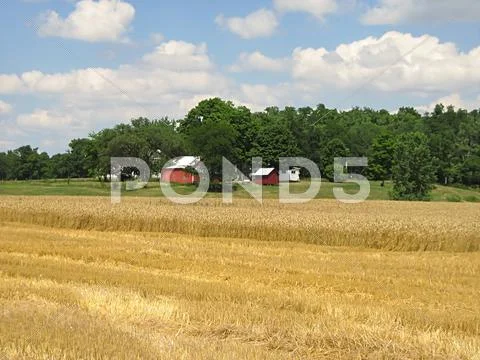 Peaceful Farmland Stock Photos