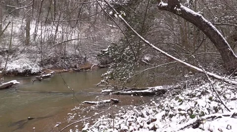 Peaceful Flowing Winter Stream Stock Footage 47244245