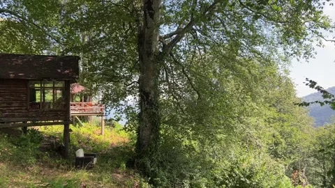 Peaceful Forest Cabin Among Trees in Kartepe, Turkey Stock Footage 340641780