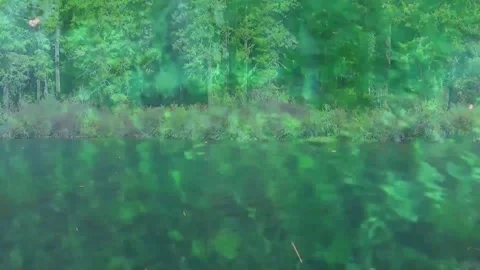 Peaceful Forest Imagery with Falling Colors and Still Waters Stock Footage 346196569