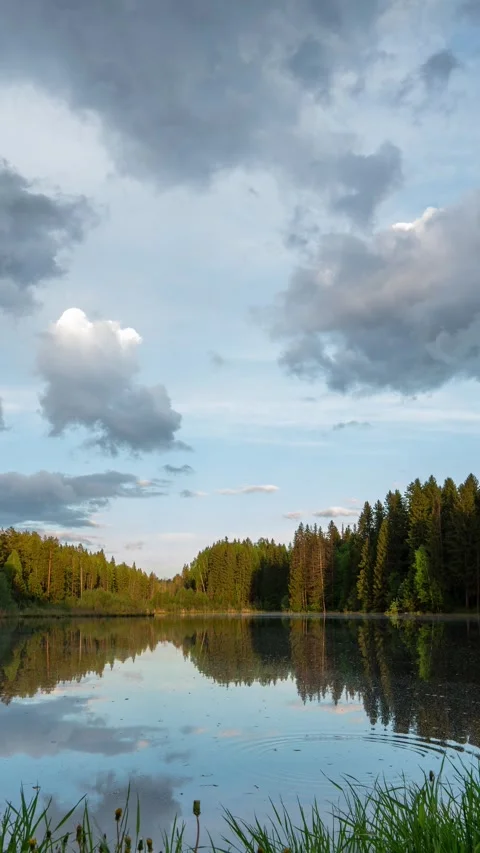 Peaceful forest lake with mirror reflection and slow moving clouds in... Stock Footage 340198776
