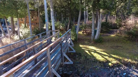 A peaceful forest landscape, with a small bridge made of old wooden planks. Stock Footage 327544005