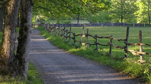 Peaceful Forest Path with Passing Cyclist and Wooden Fences Stock Footage 310521462