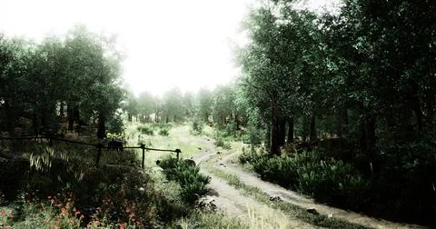 Peaceful forest pathway surrounded by lush greenery and trees Stock Illustration