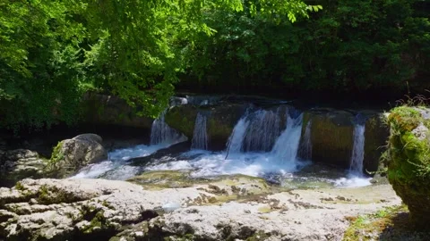 Peaceful Forest River with Waterfalls Video stock 332449769