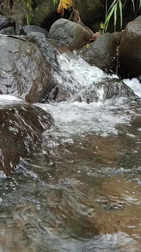 Peaceful Forest Stream Flowing Over Rocks Natural Scene Stock Footage 330406375