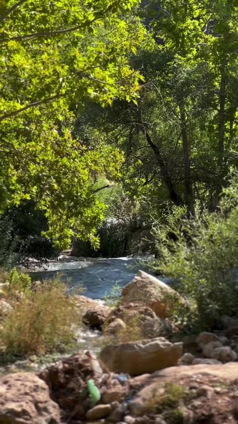 Peaceful Forest Stream Flowing Over Rocky Banks Stock Footage 342267882