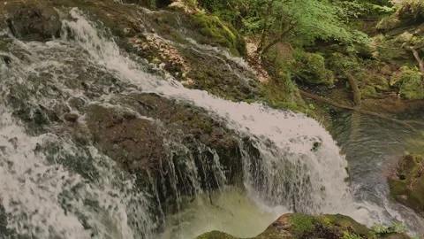 Peaceful Forest Stream with Mossy Rocks Stock Footage 314391311