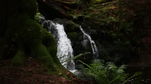 PEACEFUL FOREST WATERFALL Stock Footage 52329982