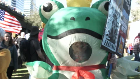 Peaceful Frog And Unicorn Protesters At No Kings Stock Footage 319555959