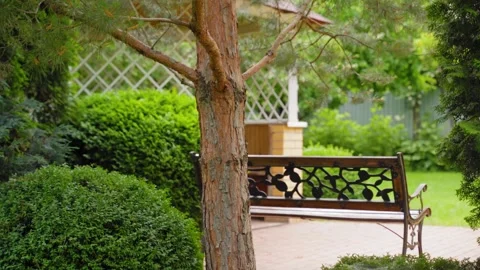 Peaceful garden bench under pine tree 库存影片 329561086