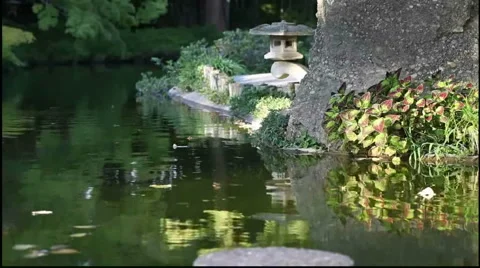 Peaceful garden. Stock Footage 917888