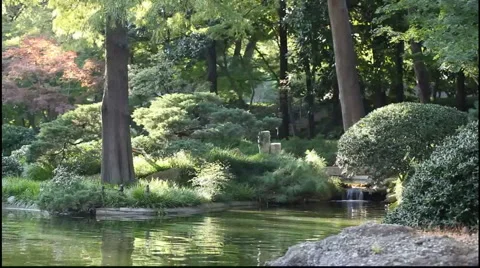 Peaceful garden. Видео 917922