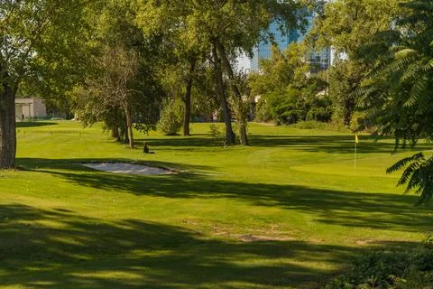 Peaceful golf course surrounded by trees on a sunny day, with visible putting Stock Photos