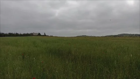 Peaceful Green Meadow Under Cloudy Sky Stock Footage 333310997