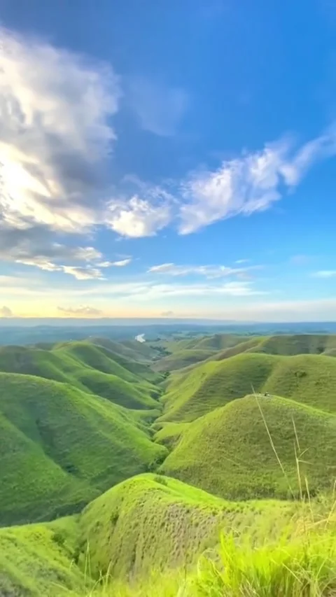 Peaceful Green Valley Under a Clear Blue Sky Stock Footage 310073318