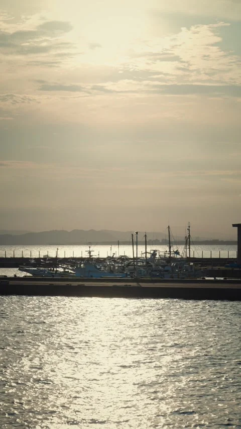 Peaceful harbor with docked boats and sparkling golden sea Stock Footage 345793653