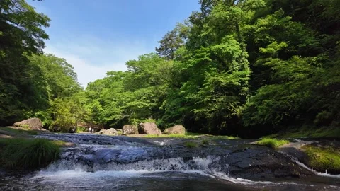 Peaceful Harmony of Water and Greenery in Japan Stock Footage 336809715