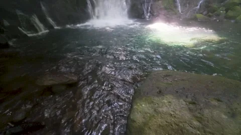 Peaceful Harmony of Water and Greenery in Japan Stock Footage 336862260
