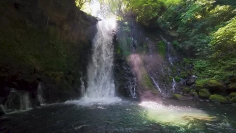 Peaceful Harmony of Water and Greenery in Japan Stock Footage 336862309