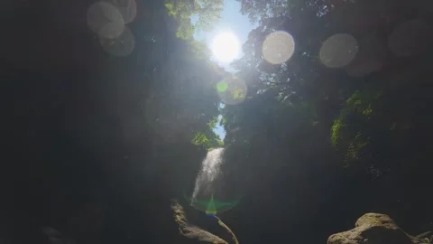 Peaceful Harmony of Water and Greenery in Japan Stock Footage 336862446