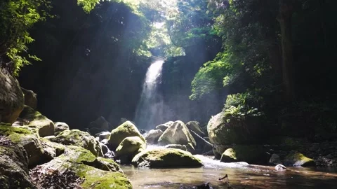 Peaceful Harmony of Water and Greenery in Japan Stock Footage 336862500