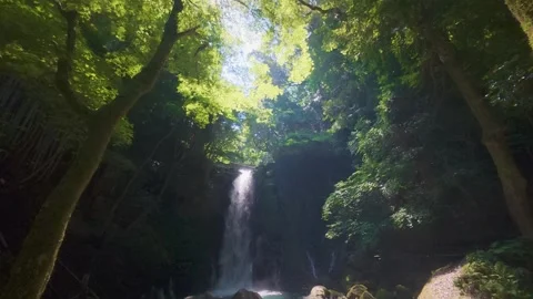 Peaceful Harmony of Water and Greenery in Japan Stock Footage 336862877