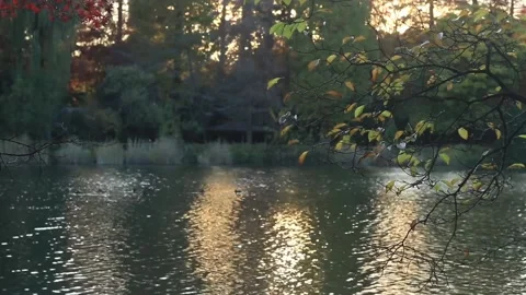 Peaceful Lake 2 Stock Footage