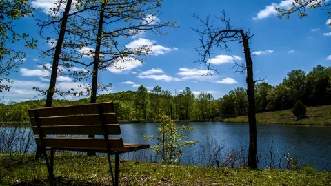 Peaceful by a lake Video stock 92440964