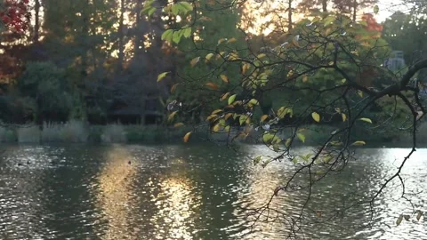 Peaceful Lake Stock Footage