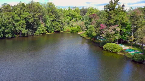 Peaceful Lake Stock Footage 213717508