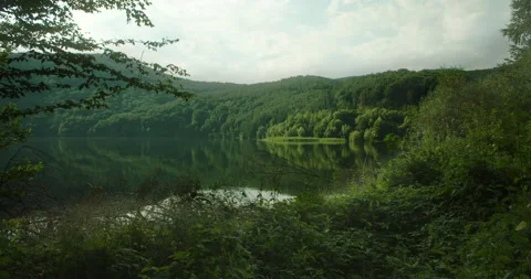 Peaceful Lake 스톡 동영상 247062955