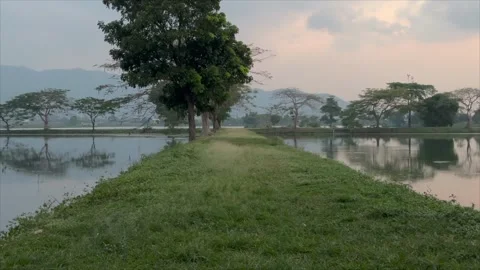 Peaceful lake landscape with calm water and green trees at sunset 스톡 동영상 336452353
