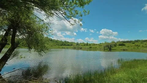 Peaceful lake reflects clouds and trees. Vrmdza Lake, Serbia. Timelapse Vídeos de archivo 338025960