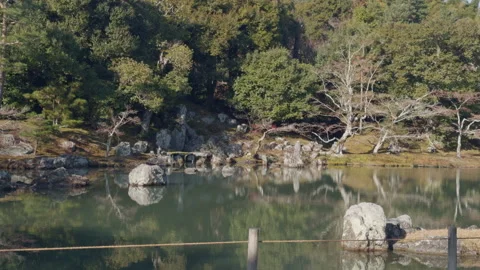 Peaceful Lake with Rocks 스톡 동영상 316070877