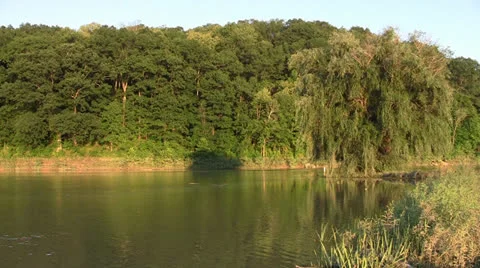 Peaceful Lake Setting Reflecting off Trees 1080/24p HD Stock Footage 25963368