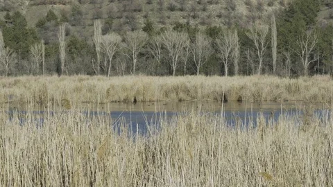 Peaceful Lake View Stock Footage 105175807