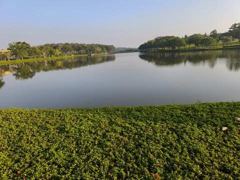 Peaceful Lake View Stock Photos
