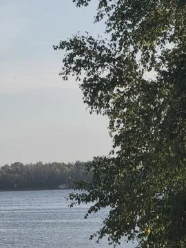 Peaceful lake view tree branches Stock-Fotos
