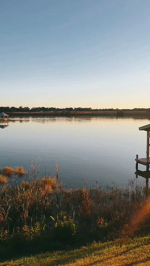Peaceful Lakeside View as the Sun Sets Stock Footage 295529612