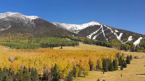 Peaceful landscape with fall colors and mountains in Flagstaff, Arizona, aerial. Stock Footage 164698832