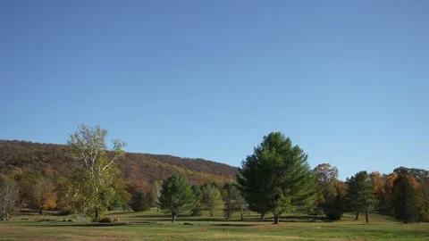 Peaceful Landscape With Vibrant Trees, Tranquil Countryside Scene With Colorful Stock Footage 323777530