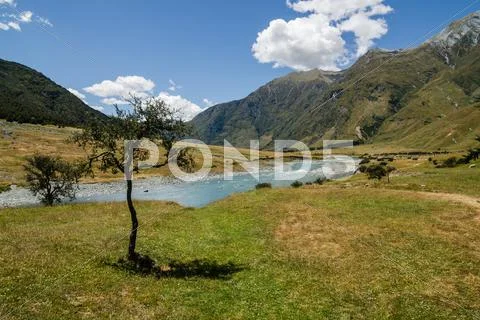 Peaceful meadow Stock Photos