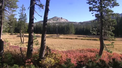 Peaceful mountain meadow Video stock 42464190