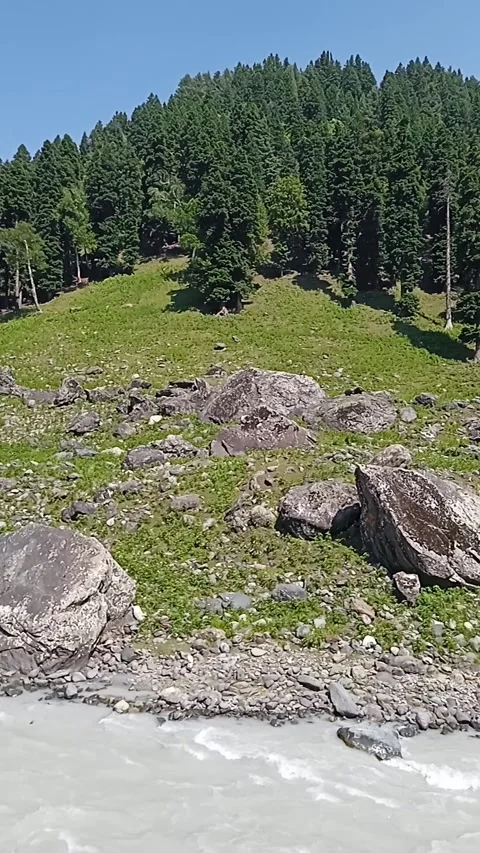 Peaceful Mountain River Flowing Through Forest in Kashmir 4K Stock Footage 339529368